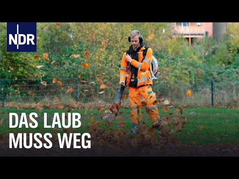 Die Nervensäge - Best of  Christoph Maria Herbst (LOL Staffel 3)