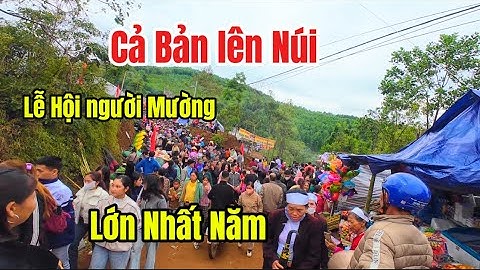 🌾 Khám Phá Văn Hóa - Ẩm Thực Dân Dã Tại Lễ Hội Ruộng Bậc Thang Miền Đồi Phú Thọ | Do hung tv 🌾