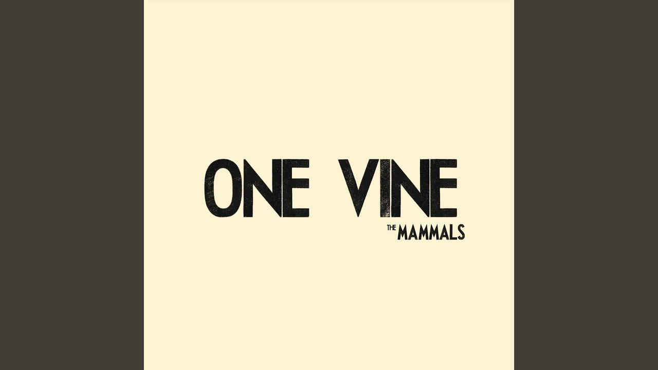 在 YouTube 上观看 One Vine