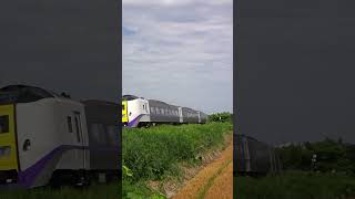 夏の芽室カーブを特急とかち