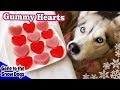 Valentine's Day Strawberry Gummy Dog Treats | DIY Dog Treats Recipe 93 | Homemade Dog Treats