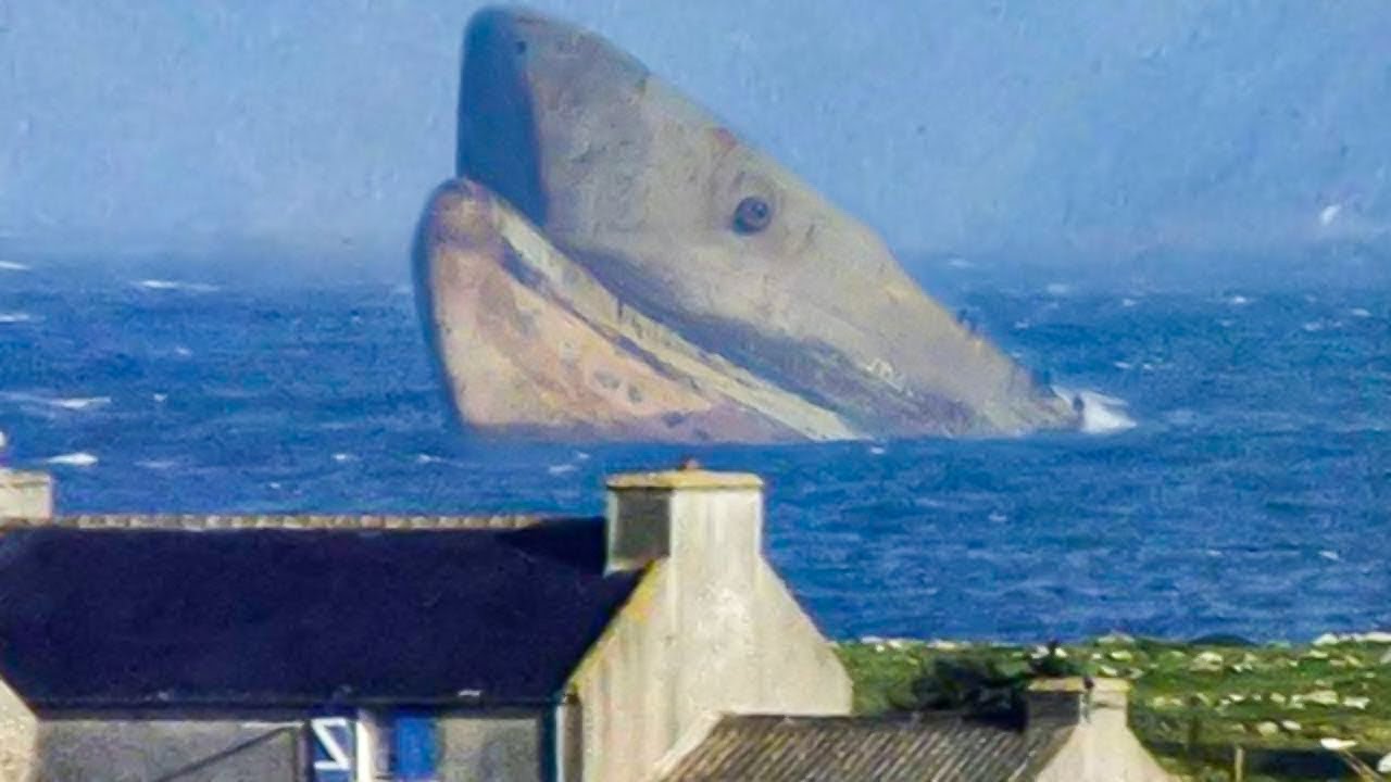 Weißer Hai ist auf dem Weg ins Mittelmeer | OCEARCH „Nukumi“