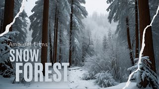 Relaxing Snow Storm Forest Ambience  | ASMR |