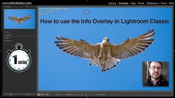 Lightroom Classic : How to use an Adjustment Brush with Range Mask