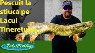 Pescuit la stiuca pe Lacul Tineretului