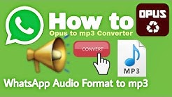 How to Convert WhatsApp Audio Format to mp3 | Opus to mp3 Converter  - Durasi: 4:31. 