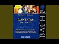 Miniature de la vidéo de la chanson Cantata "Herr Jesu Christ, Du Höchstes Gut", Bwv 113: Iii. Aria (Bass) "Fürwahr, Wenn Mir Das Kömmet Ein"