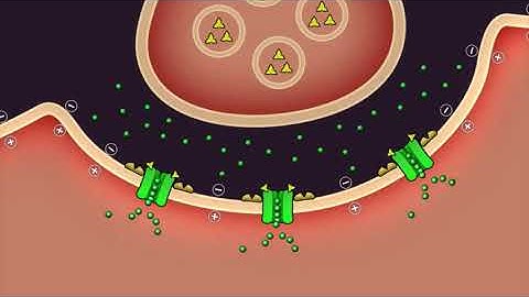 Insecticide Mode of Action