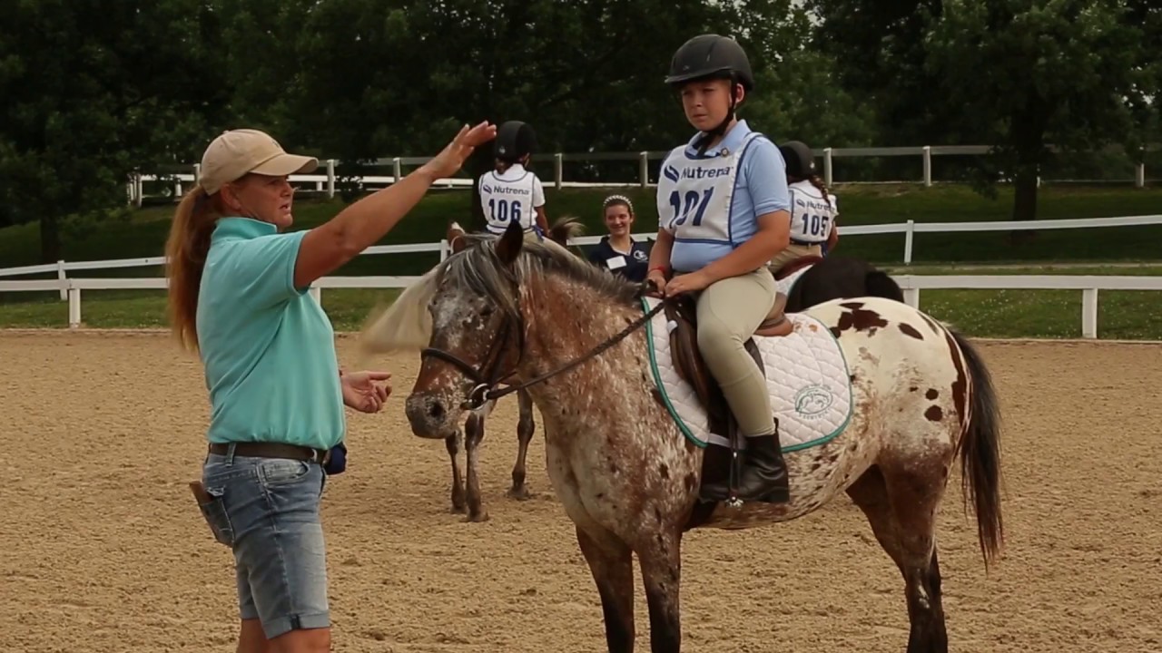 Membership Options - The United States Pony Clubs, Inc.