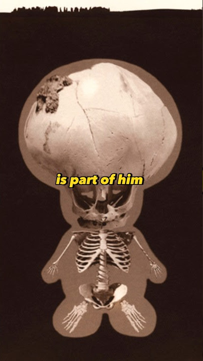 Is Toad’s head just a hat?#mariomovie #gametheory #easteregg #supermario #nintendo