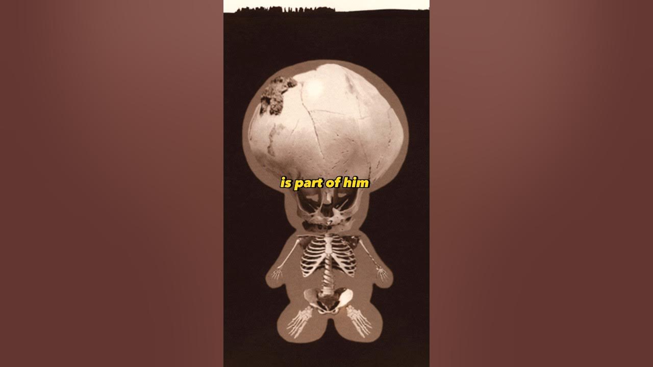 Is Toad’s head just a hat?#mariomovie #gametheory #easteregg #supermario #nintendo Is Toad’s head just a hat?#mariomovie #gametheory #easteregg #supermario #nintendo
