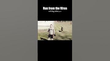 "Run from the Virus" Visualization Of Feelings During The Covid-19 Lockdown in 2020