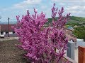 Хутор Заря, хутор Рассвет и село Гай-Кодзор под Анапой 21.04.2018