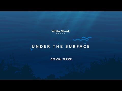 White Shark Media