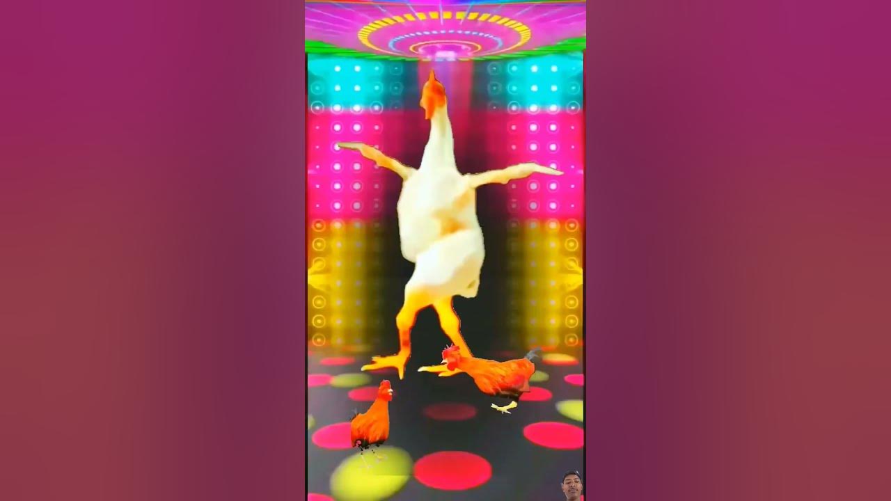 New Chicken Song (Dj Remix) #chicken #so...
