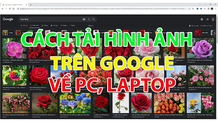 Hướng dẫn tải ảng trên google ảnh về máy tính