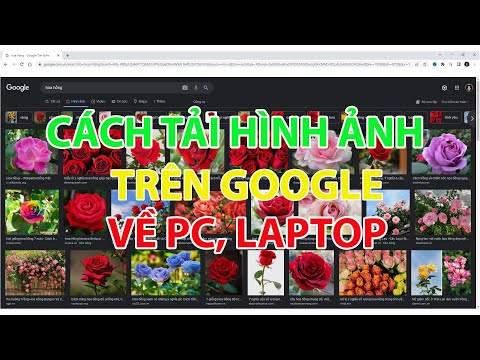 Cách tải ảnh trên google về máy tính