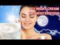 Diy winter night cream home made night cream 2024hb beauty tips