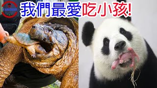 [TOP6]數個生吞小孩與同伴的邪惡生物 | 愛你就要吃掉你 | 熊貓比你想像中的還要可怕!?