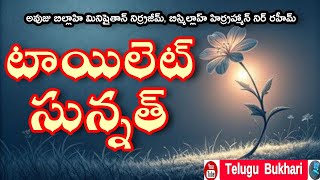The sunnah prophetic traditions regarding toilet include #Telugu #Short #short #Viral #TeluguBukhari