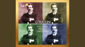 String Quartet in D Major, SC 50 (Reconstr. by Wolfgang Ludewig) : IV. Allegro vivo