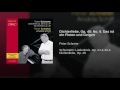 Miniature de la vidéo de la chanson Dichterliebe, Op. 48: Das Ist Ein Flöten Und Geigen