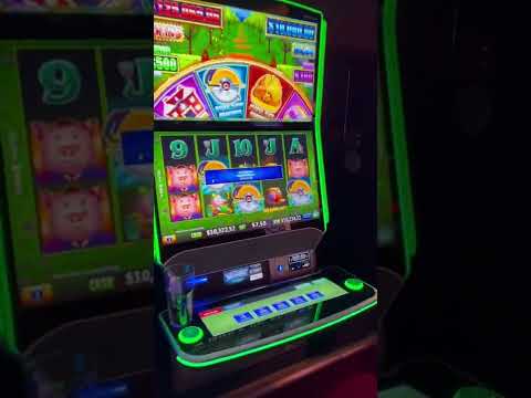 Cash Pig 2 | |Deltin Royal Casino Goa| #entertainment #goatrip #casino #nightlife #viral #short #Rajatkminivlog