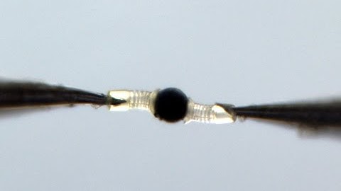 Robots Cooperation for Particles Manipulation Under Microscope