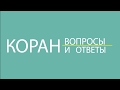 «Можно ли узнать из Корана обличье ангелов?»