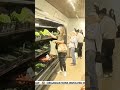BLACK INDIANS OPEN A FARMERS MARKET
