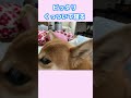 ピッタリ くっついて寝る