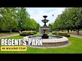 Regent's Park London 4K Walk | Summer 2025 Walking Tour