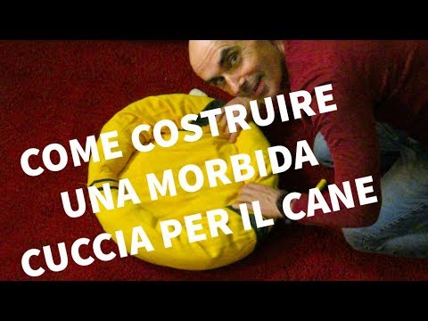 Video: Cuccia Morbida