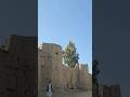 #afghanistan #afghani #history #historic #historical #wonderful #viral #old #ننگرهار #nangarhar