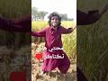 mehnti haari #talentsindh 🌾🌾🌾🌾