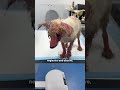 No One Expected This Broken-Looking Puppy To Have So Much Personality | The Dodo
