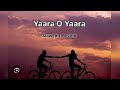 Yaara O Yaara Slowed Reverd Songs Sunny Deol Hits Songs 