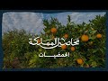 برنامج محاصيل المملكة الحمضيات