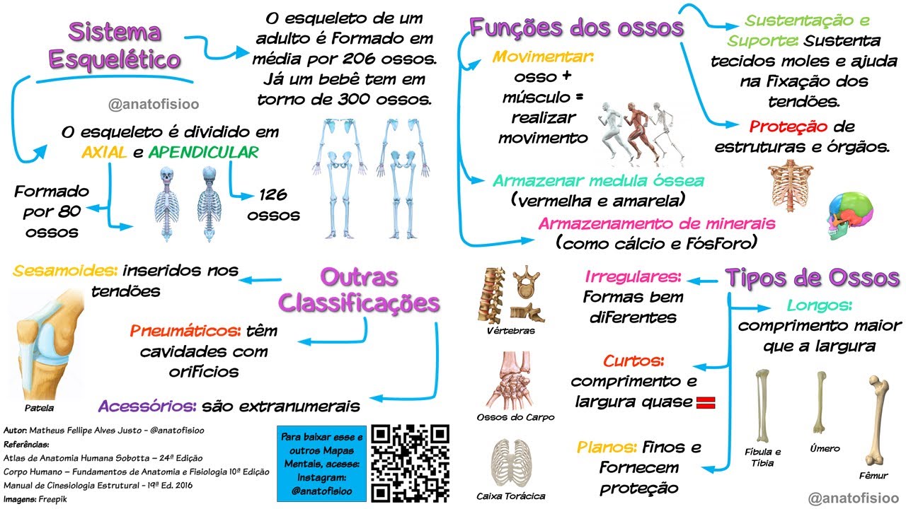 Introdução ao Sistema Esquelético - [Mapa Mental] - YouTube