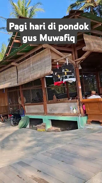 Suasana Pagi hari di pondok Gus Muwafiq..#fyp#gusmuwafiqterbaru #gusmuwafiqChannel#shortsvideo #pbnu