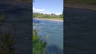 2 Streams Combining (Springfield, OR)