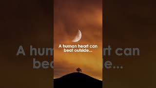 Random Fact About The Human Heart