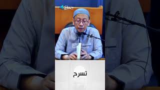 Download Lagu Burung hijau di Surga | Ustadz Ainurriza, Lc MP3