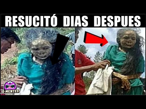 Video: El carnero nocturno más famoso de la Gran Guerra Patria