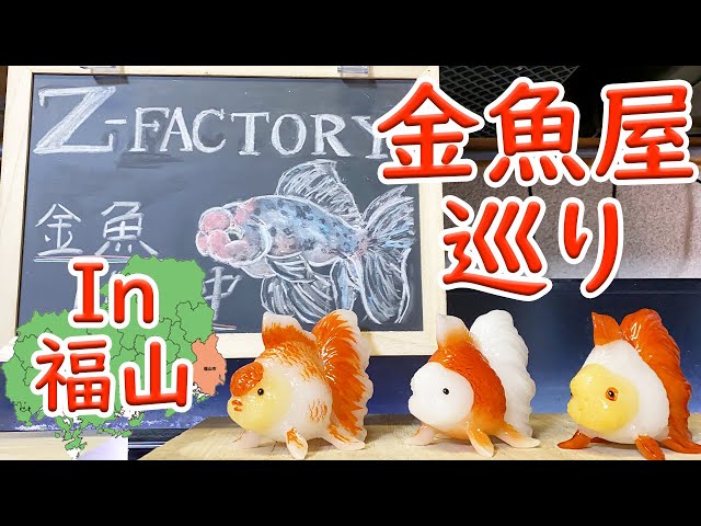 さかなやさん 口コミ一覧 : さかなやさん - 越中大門/海鮮丼 [食べログ]