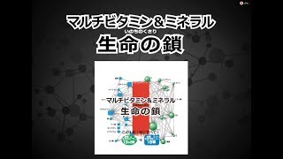 生命の鎖 | HERBA