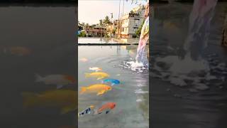 ai prithibi srithi tumar 🕊️ #video #youtube #nature #shorts #viral