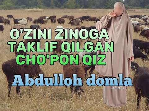 Video: Sizning Itingizning Tishlarini E'tiborsiz Qoldirishning 5 Dahshatli Oqibatlari