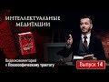 Интеллектуальные медитации. Видеокомментарий к Психософическому трактату: выпуск 14