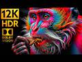 Breathtaking 12K HDR Footage That Will Leave You Speechless @12khdrchannel46